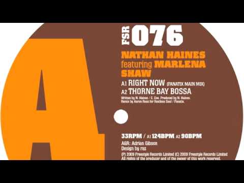 04 Nathan Haines - Right Now (Fanatix Underground Beats) [Freestyle Records]