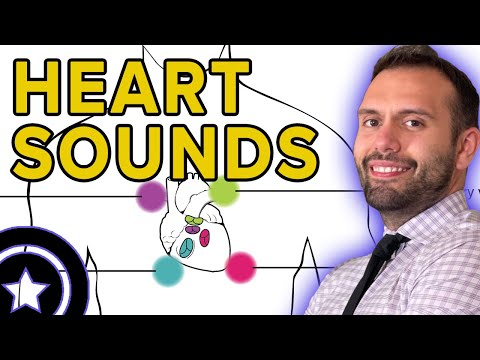 Heart Sounds of the Cardiac Cycle | HIGH-YIELD CARDIOLOGY | USMLE STEP 1