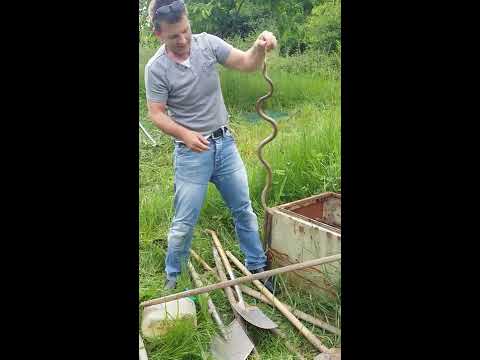 Ragip der Schlangenflüsterer