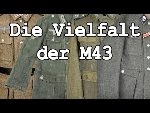 Die Vielfalt der M43
