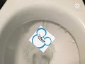 Disney Channel UK Toliet Ident 31st January 2011