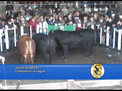 JULIO ALBERDI - Cabaña: La Legua - Cnel. Pringles - 26/09/2013