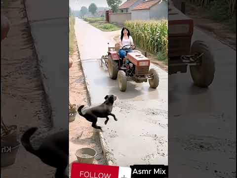 Cute Mexica Plush Dancing Cactus Electric Plush Toyy #shorts #217