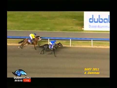 Firebreak Stakes 2011 - SKYSURFERS