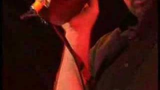 Counting Crows, Miami, Pinkpop 2003