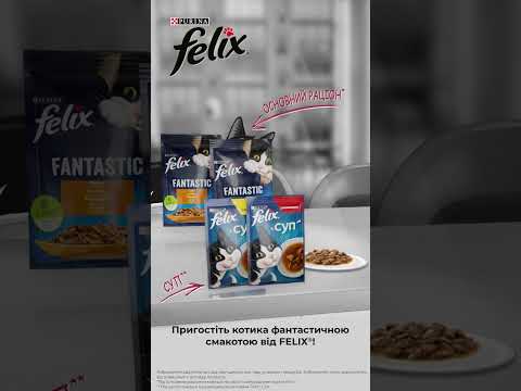 Felix ® - пригостіть котика фантастичною смакотою!