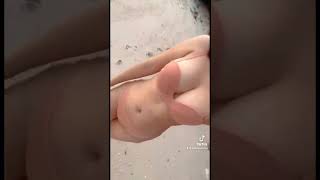 Angela Love Chua tiktok short be like ..