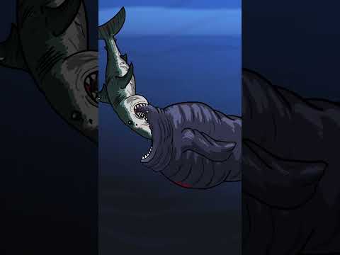 The Bloop VS Megalodon | Bite Fight #shorts  #animation