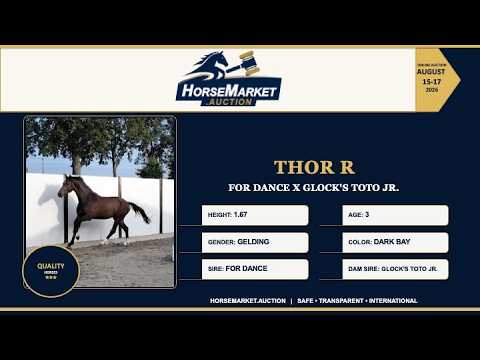 youtube preview