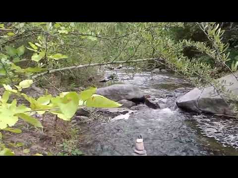 Hoy recorrimos un hermoso sendero! Reserva Tiu Mayu-La Granja/ Cordoba