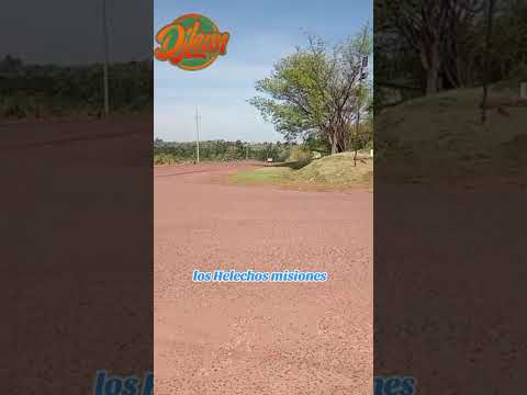 los Helechos Misiones