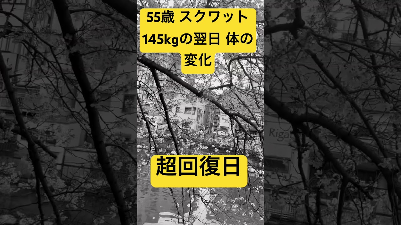 超回復日！55歳 スクワット145kgの翌日 体の変化