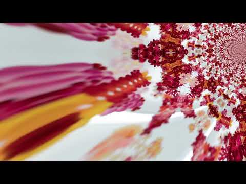 Ena Eno ft. Dj Widsid - LKJ Added