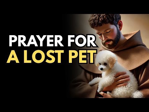 Powerful Prayer for a Lost Pet | Prayer to Saint Anthony