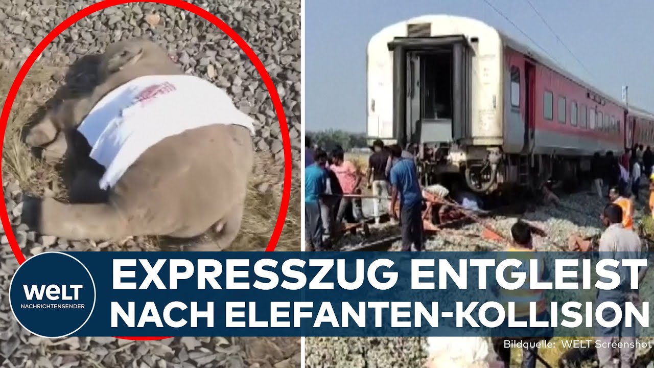TRAGÖDIE IN INDIEN: Expresszug rast in eine Elefantenherde – mit dramatischen Folgen!