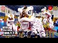 Team Vietnam 越南队 Worldwide Roar Lion Dance Showdown Lion Dance Championship 狮吼天下舞狮