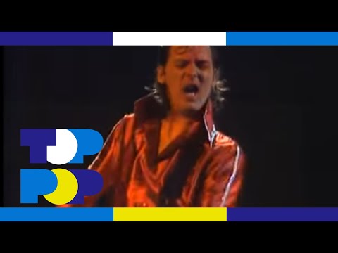 Long Tall Ernie & the Shakers - Turn Your Radio On - Artiesten in de Rai • TopPop