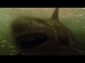 Welcome To Lake Crosby SHARK NIGHT TEASER