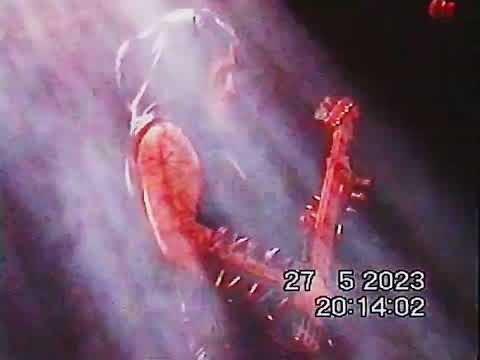 NECROBODE - Live at RCA Club