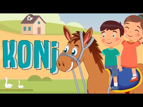 Konj! | Učimo domaće životinje