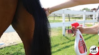Leovet - Lesk a rozčesávač 5 stars (Striegel detangler 5 Sterne) 550ml
