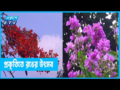 প্রকৃতির রূপে মুগ্ধ পথিকেরা