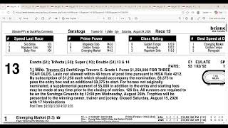 2026 Travers Stakes Full Field Analysis and Picks | Saratoga