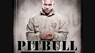 Pitbull ft. Nayer ~ Pearly Gates HD