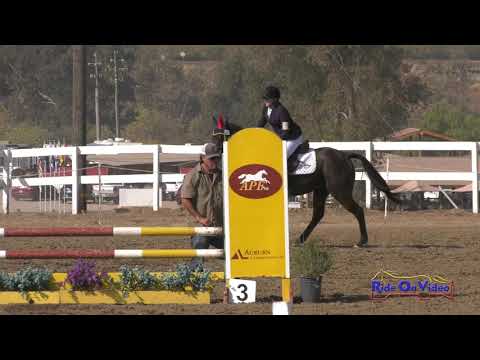102S Lulu Sieling on Crème de Cassis Open Novice Show Jumping FCHP Nov. 2019
