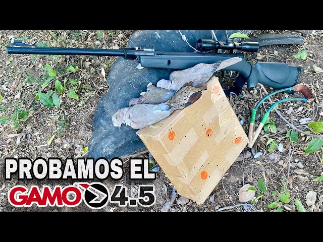 Vídeo relacionado con ECOMMUR Escopeta de balines | Carabina - Rifle de Aire comprimido (Muelle) y perdigones Calibre 4.5mm [3 Julios - Actividades Deportivas]