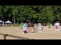 Poney de CSO