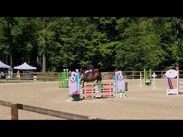 Poney de CSO 