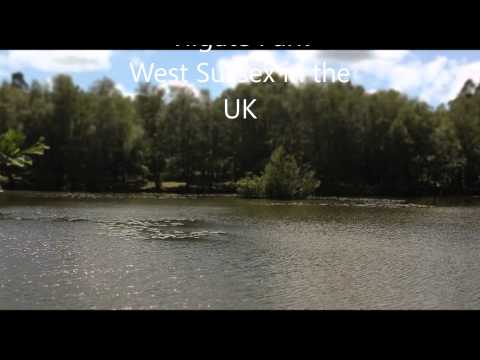 Jamie pond in Rise of the Heron