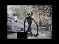 ANALOG HORROR Elder Mimic Found Destroying Person S Car