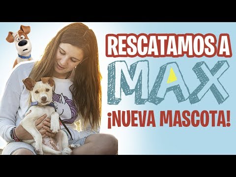¡NUEVA MASCOTA en CASA!  nuestra REACCIÓN al conocer a MAX