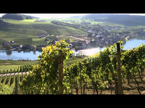 Faszination Wein - Südliche Weinmosel