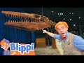 Blippi Digs Up Dinos Best Animal Videos For Kids Kids Songs And Nursery Rhymes