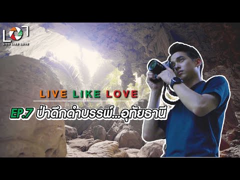 คลิกเพื่อดูคลิปวิดีโอ