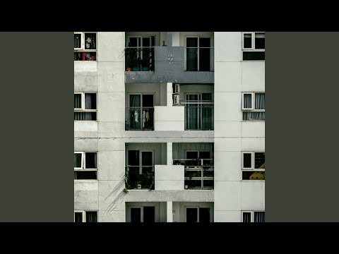 Echoes of a Broken Spirit