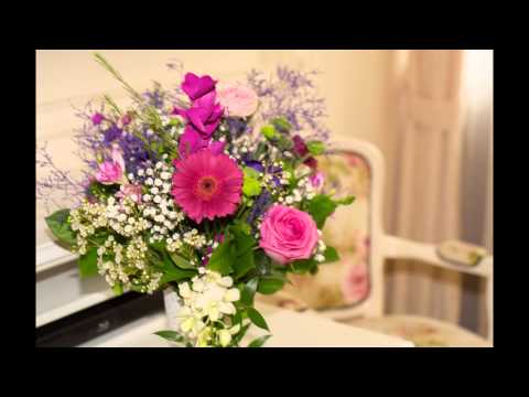 Villa Alice Suceava - Camera de 5 stele