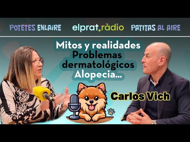 Vídeo relacionado con Immunodermatology in small animals (SIN COLECCION)