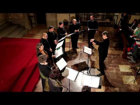 Video thumbnail for Vultum tuum deprecabuntur