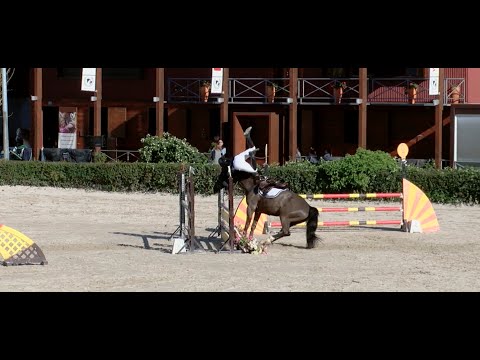 Horse jump fail compilation | SLaudiovisual 2015
