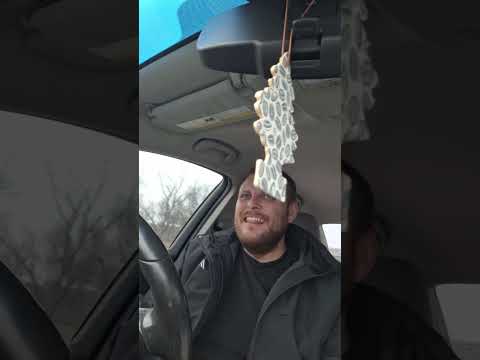 Highlight 16:38 - 21:38 from Lets get cat food