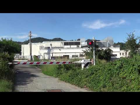 Passaggio a livello di via Regione Casale - Vigliano Biellese (BI) / Level Crossing / Planovergang