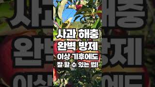 이상 기후에 더 말썽인 진딧물 나방! 확실한 해충 방제법 1분 안에 해결해드립니다