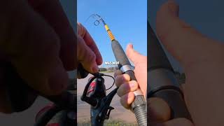 GIANT fish on TINY baits