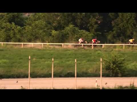 Trka "Čukarica - Galop" 14.07.2019 FOUR FIFTY THREE - Miloš Milojević
