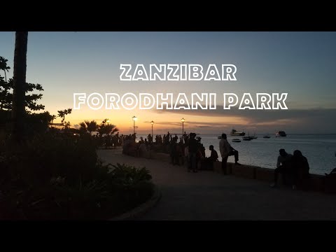 Jardim Forodhani - Mercado noturno de comida de Zanzibar