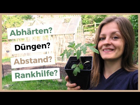 , title : 'Die beste Art, Tomaten zu pflanzen 🍅👌 Im Gewächshaus & im Freiland!'